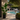 A large potted tropical plant with broad green leaves stands in a modern patio setting next to a swimming pool. In the background, a man and woman stand by an outdoor kitchen bar, and a person is seen in the pool water.