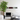 A modern living room scene featuring a tall green potted tree next to a white marble fireplace with a black firebox. Above the fireplace are three floating wall shelves in gray, dark red, and gray.