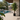 A tall potted tree in a black geometric planter stands on a light beige tiled patio beside a swimming pool, with people relaxing and playing in the background under a modern house.