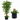 Tall artificial tree plant with green leaves and brown trunk branches in a black geometric planter, shown on a white background with a circular inset detail of the pot and base.