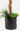 A black faceted geometric planter holding green plants and a twisted wood stake, shown against a plain white background.