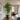 A tall artificial palm tree in a black pot, styled in a bright, elegant living room next to a white sofa and wooden floors.