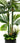 Garden Couture Premium Golden Cane Artificial Tree Leaves Close Up