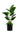 A potted artificial bird of paradise plant with large green leaves and small spiky green grass, in a black faceted pot, isolated on a white background.
