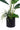 An artificial potted plant featuring a black faceted geometric pot with tall green banana leaves, a green monstera plant, and long thin green grass-like foliage, set against a plain white background.